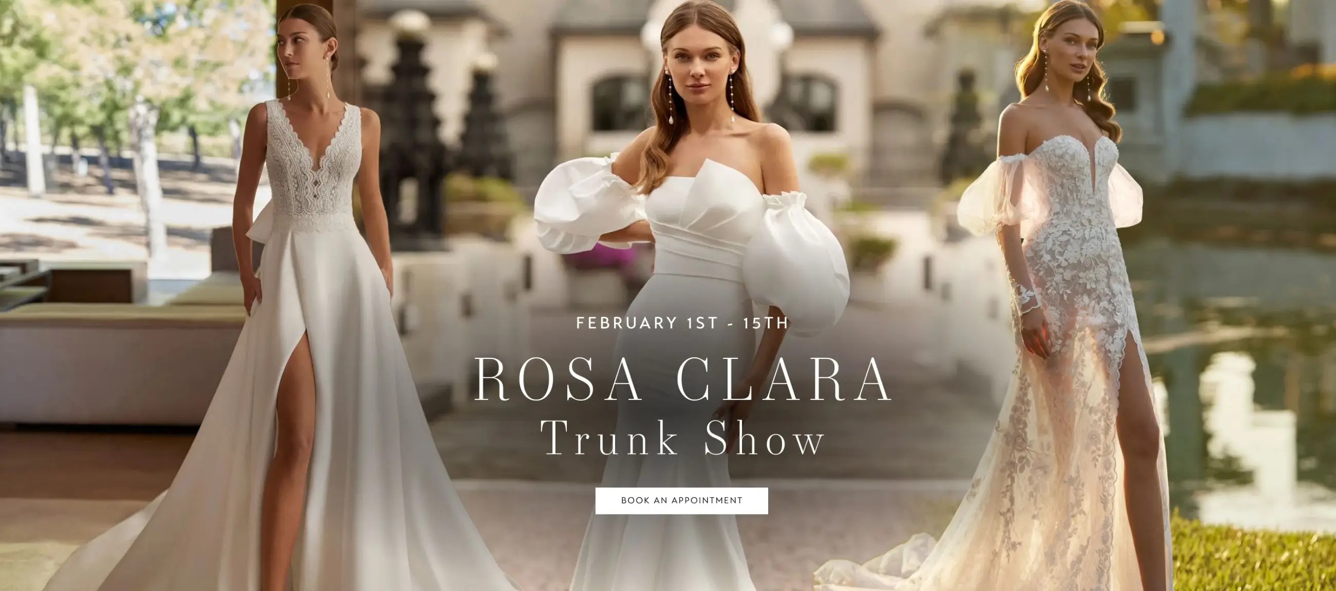 Rosa Clara Banner for Desktop