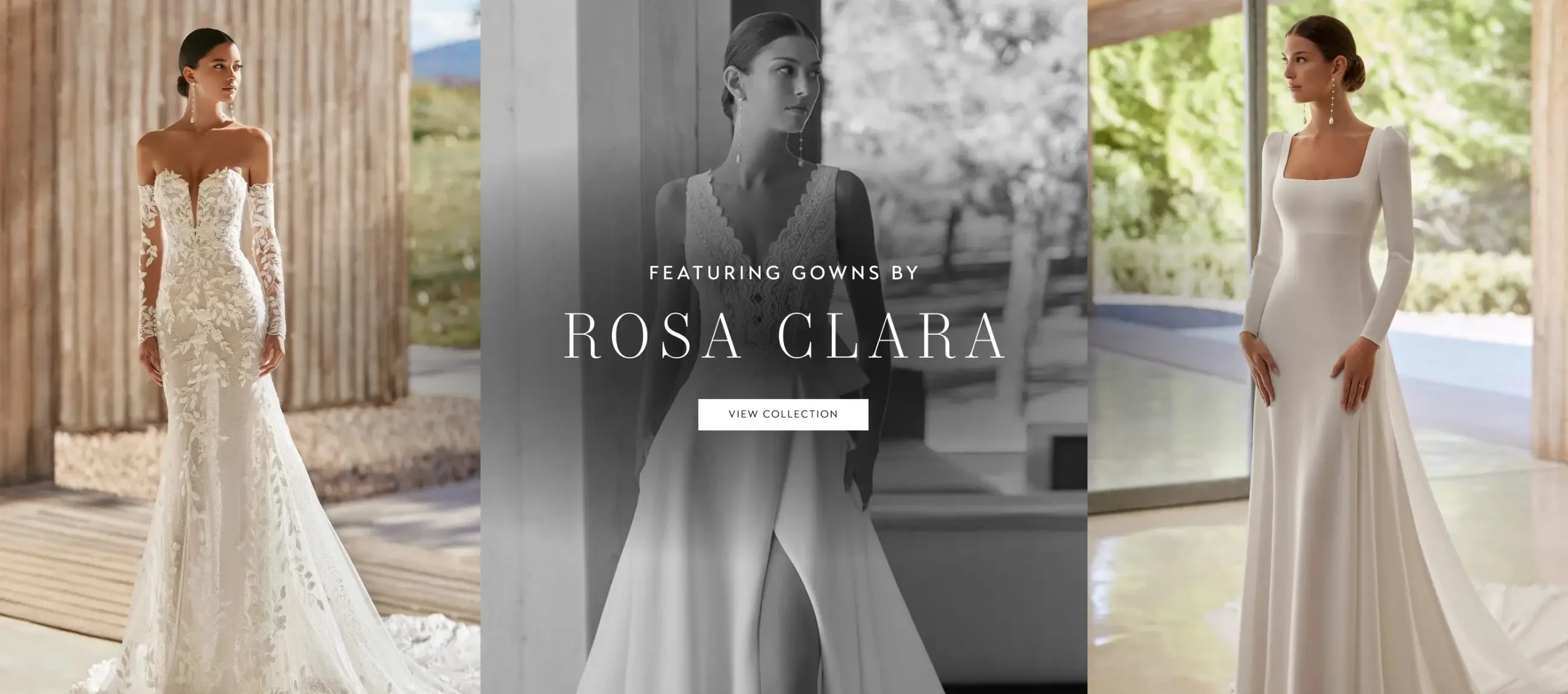 Rosa Clara Banner for Desktop